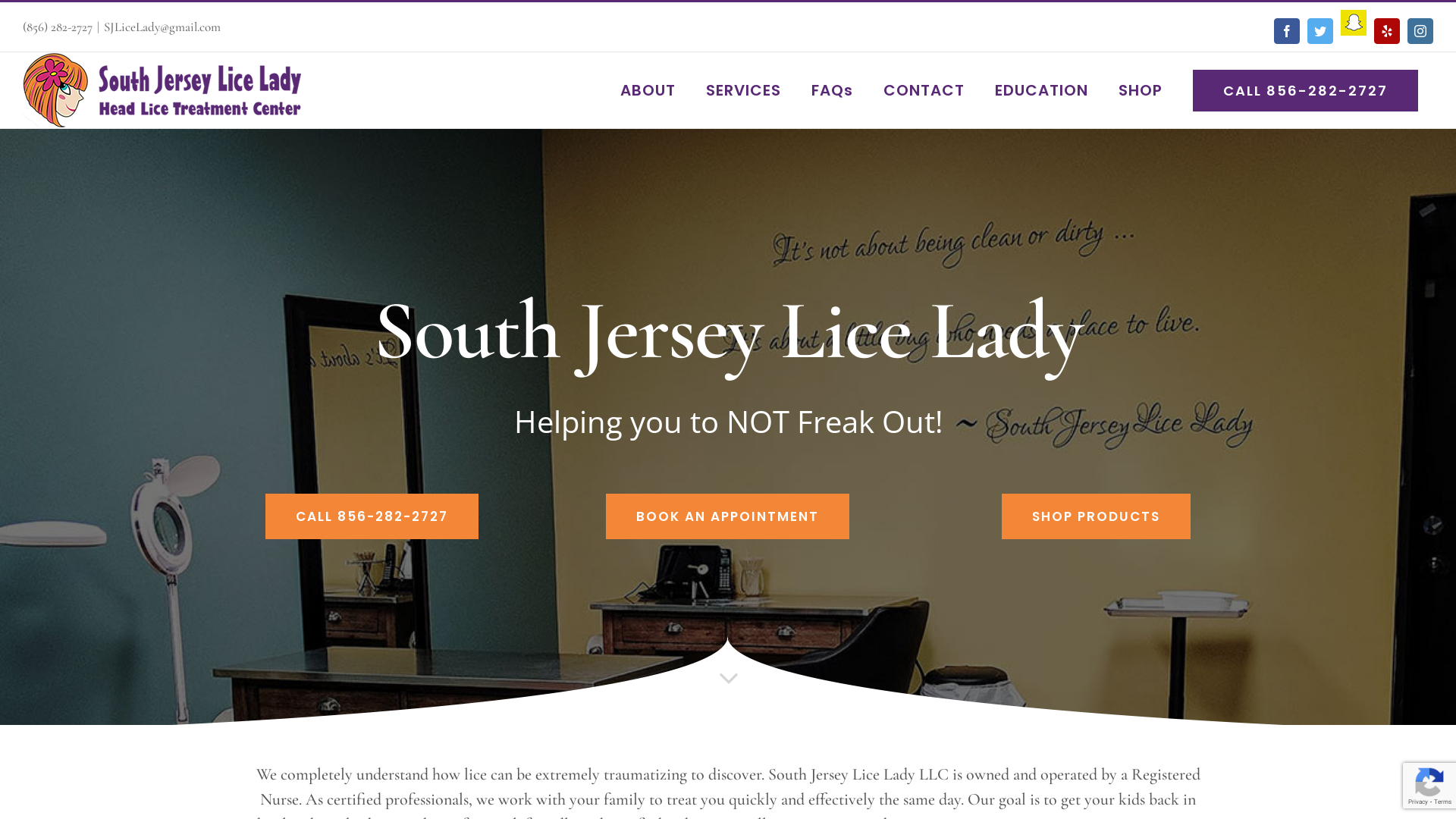 South Jersey Lice Lady