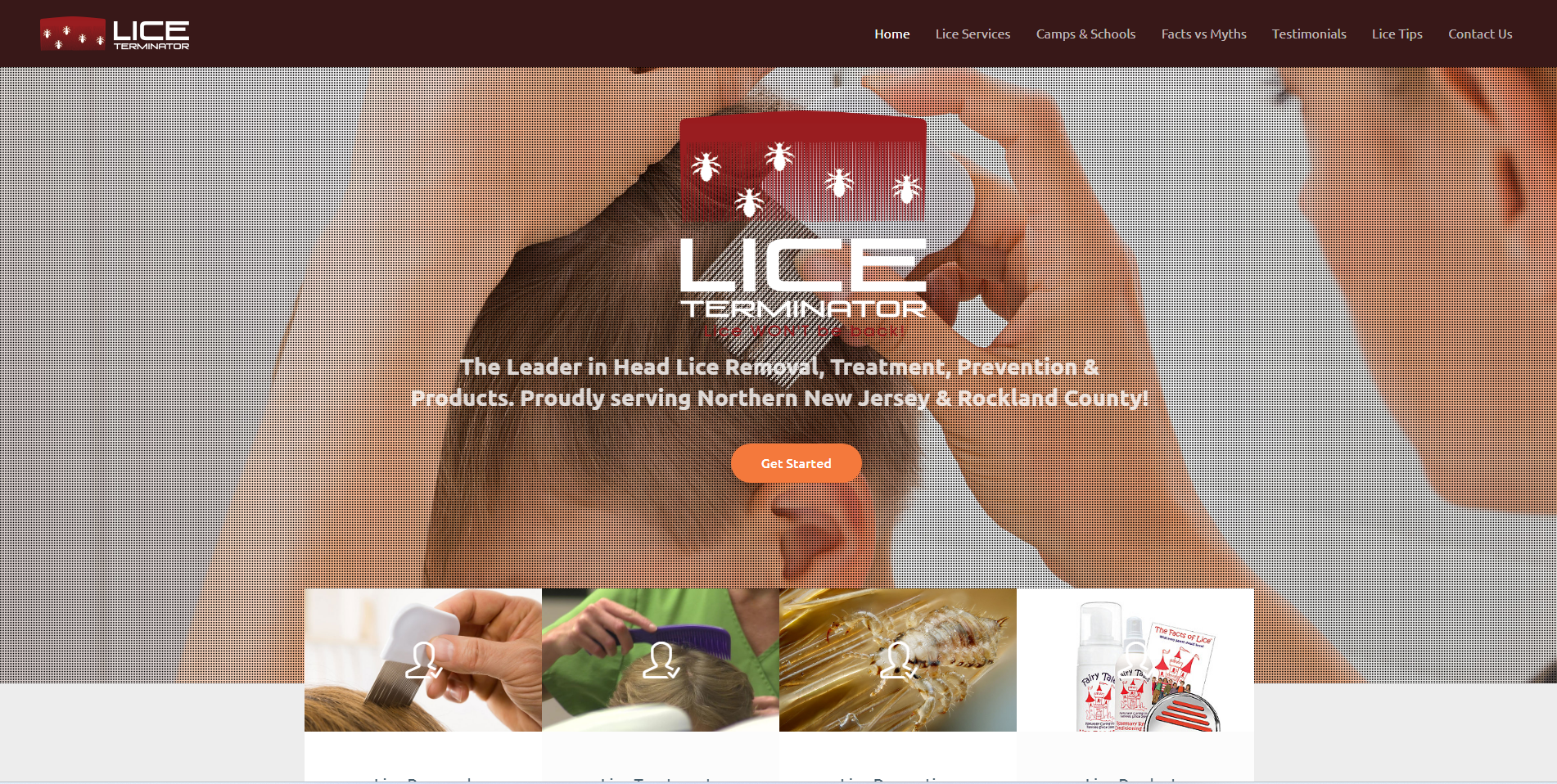 Lice Terminator